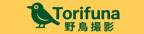 Torifuna 野鳥撮影